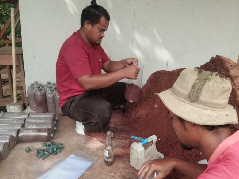 Warga Sumber Sari Buka Usaha Budi Daya Jamur Tiram