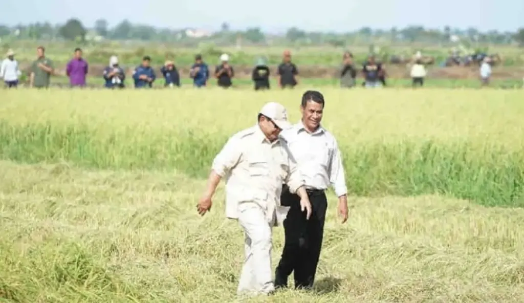 Jelang 100 Hari Prabowo, Ambisi Swasembada Pangan hingga Energi Makin Menggebu