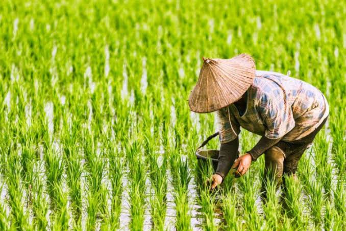 Camat Muara Jawa Fokus Infrastruktur dan Ketahanan Pangan, Dukung Program Nasional Presiden Prabowo