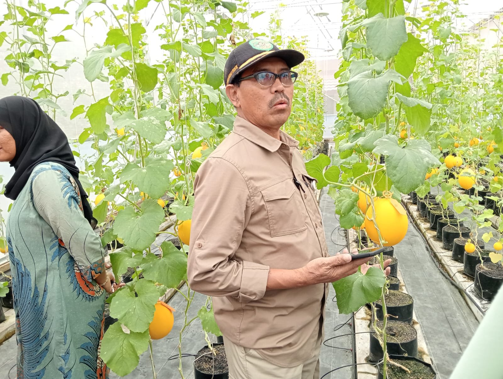 Kepala Distanak Kukar Dorong Mahasiswa dan Petani Mandiri Kembangkan Teknologi Greenhouse